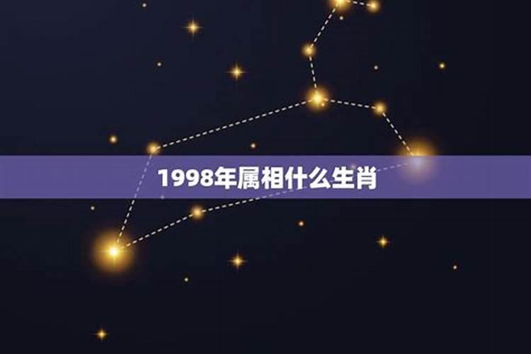 1998年是什么生肖属相