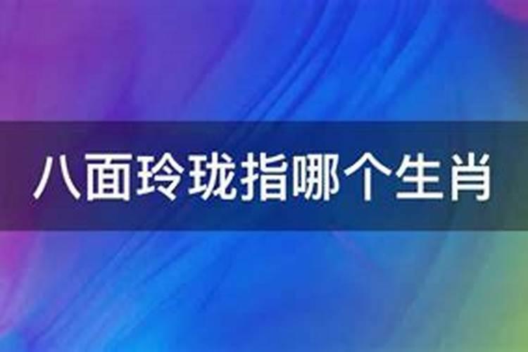 八面玲珑是指什么生肖动物意思