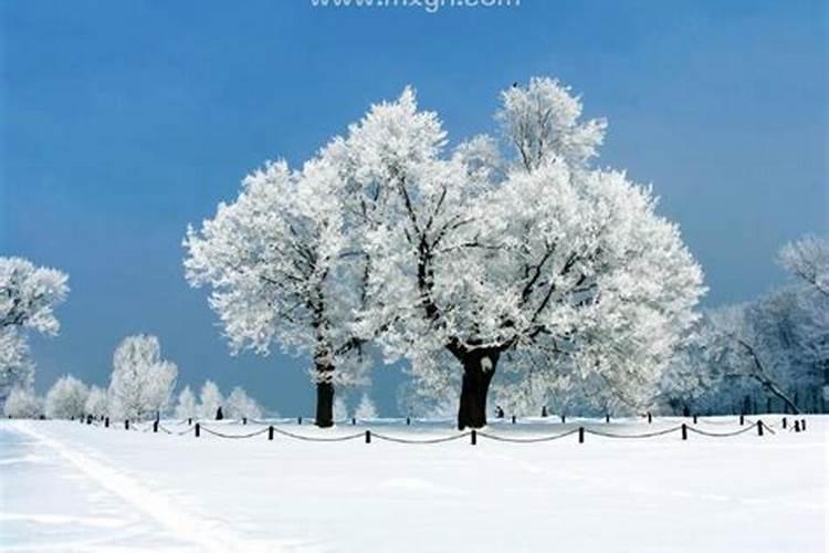 梦见雪景好漂亮很漂亮