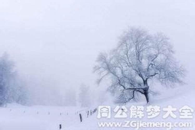 梦见雪景好漂亮很漂亮