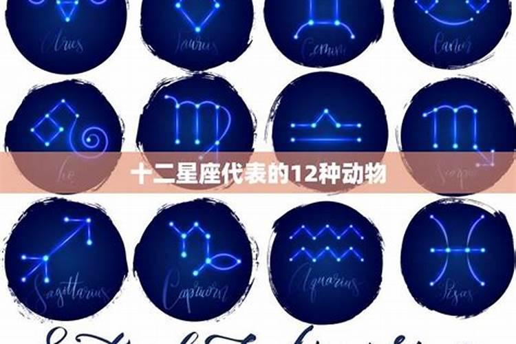 12星座各代表什么动物