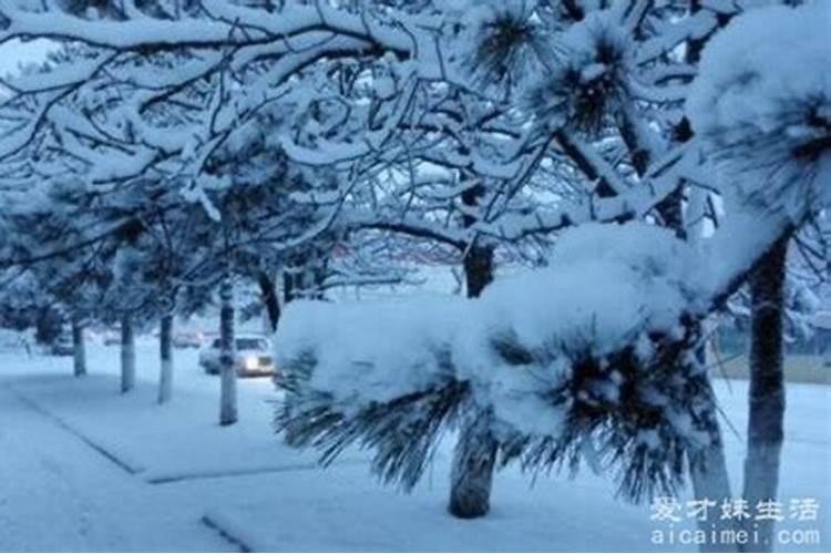 梦见下雪什么意思,现在是8月