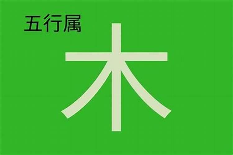 五行杨字属于什么