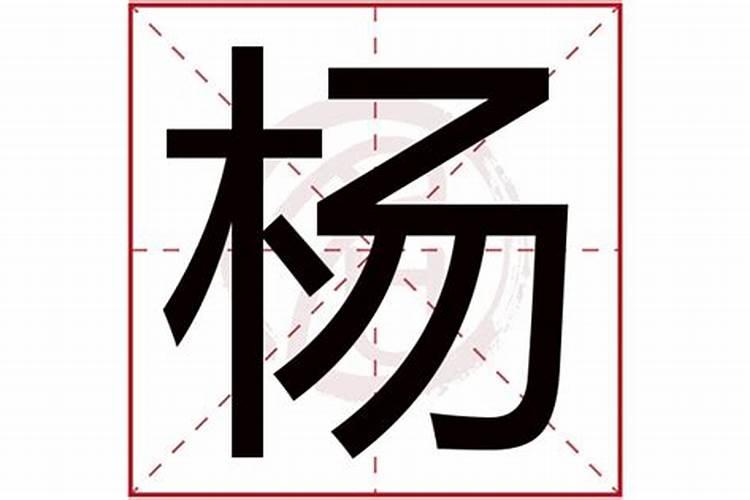 杨字的五行属性