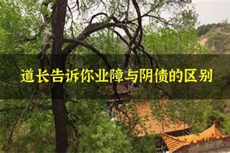 梦见别人掉牙齿什么意思