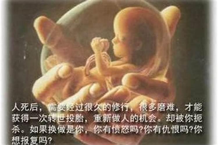 堕胎婴灵投胎成羊吗