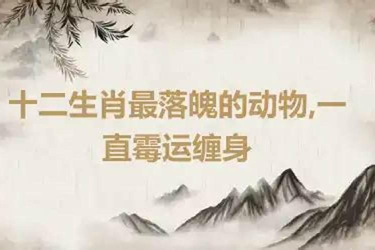 落魄出头最经常是什么生肖？低落是什么生肖