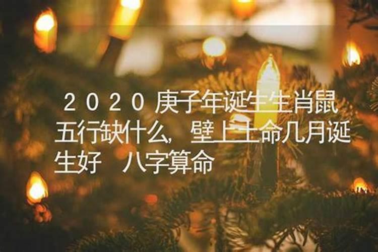 2023年属猪人的运程是怎么样的