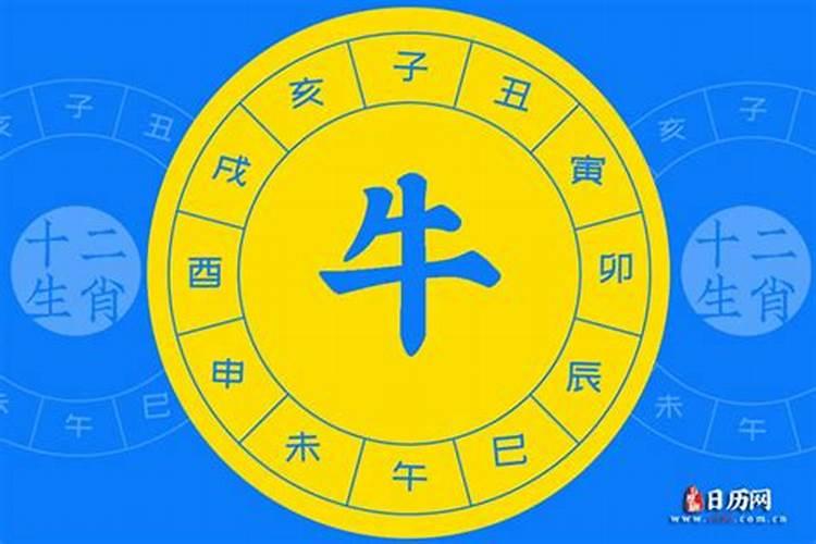 2023年牛五行属什么