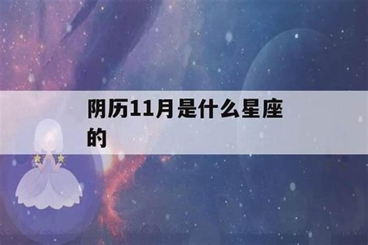 阴历11月份属于什么星座