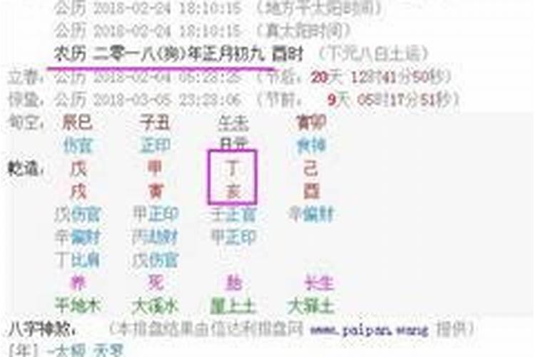 阴历11月属于什么生肖