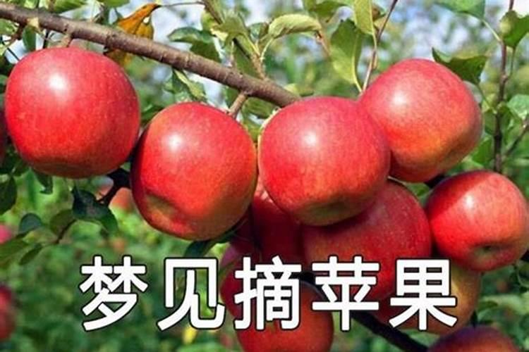 川字掌激活运势什么时候带