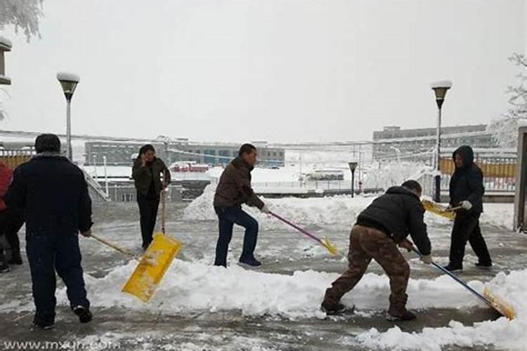 梦见自己铲雪什么意思是什么？梦到抓鸟什么意思