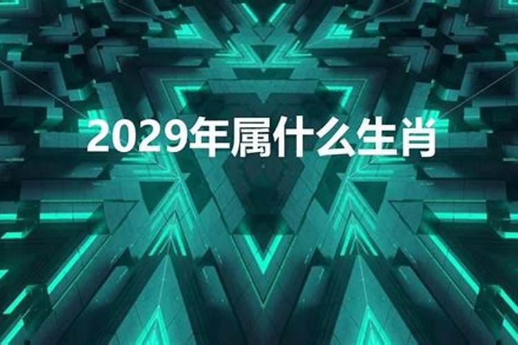 2029年是什么属相