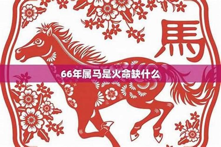 66年属马五行属什么命