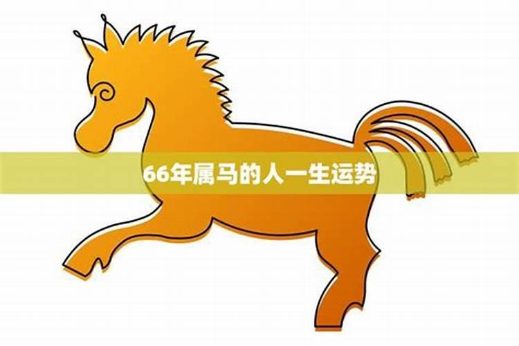 66年属马五行属什么命