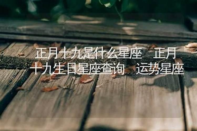 正月一般是什么星座的