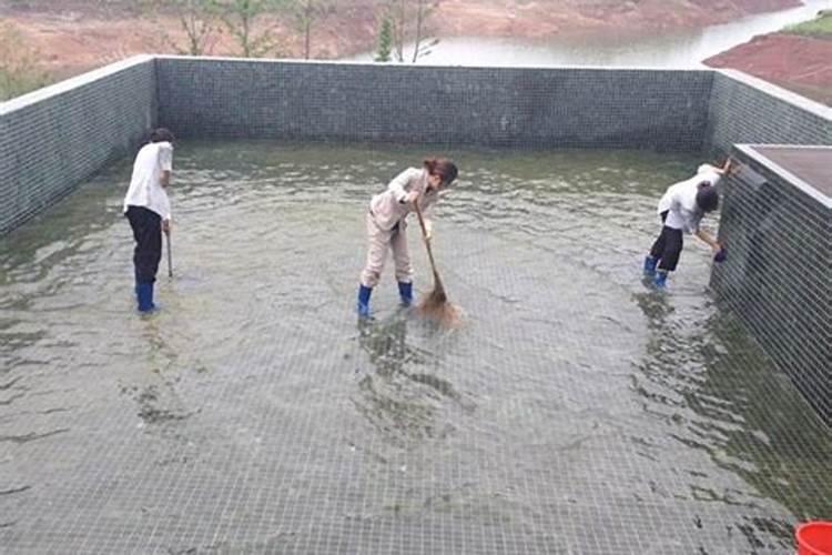 梦见清洗水池的污垢