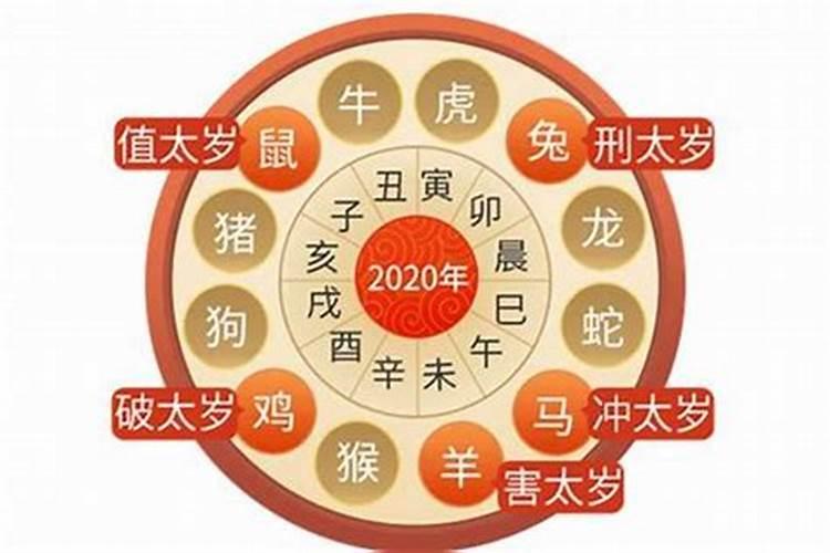 2021每个生肖的运