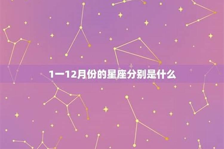 1月份生日的是什么星座