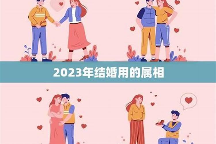 2023年结婚忌属相