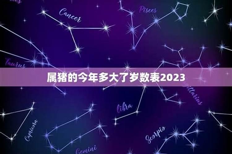 2023年属猪多大