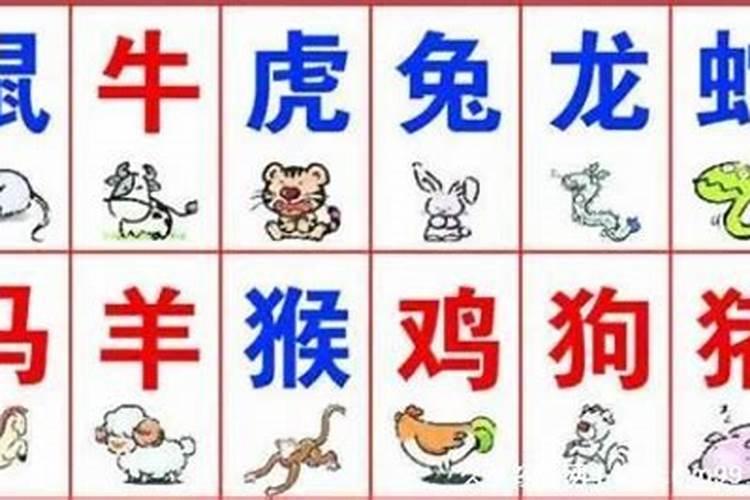 双字解生肖