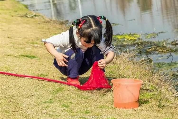 梦见房子下面有水流