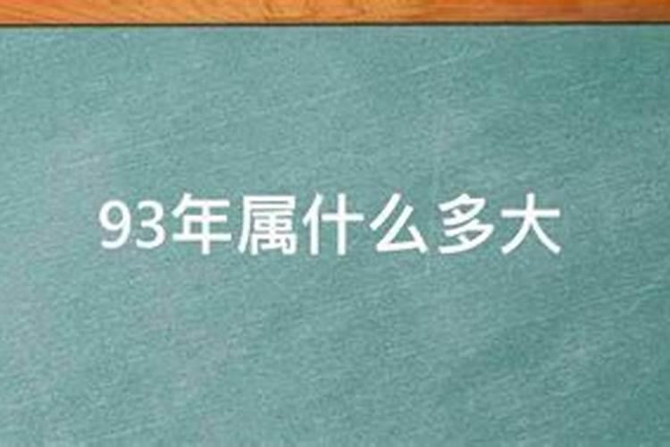 93年多大属什么的