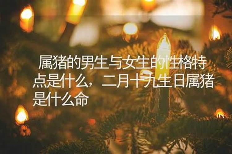 生肖属猪是什么星座的