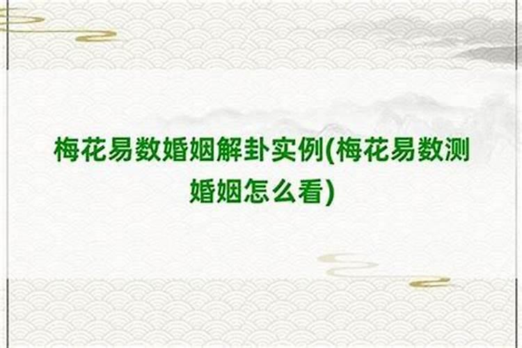 96年的老鼠2021年运势怎么样