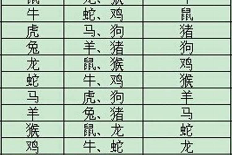 龙的六6合是什么生肖