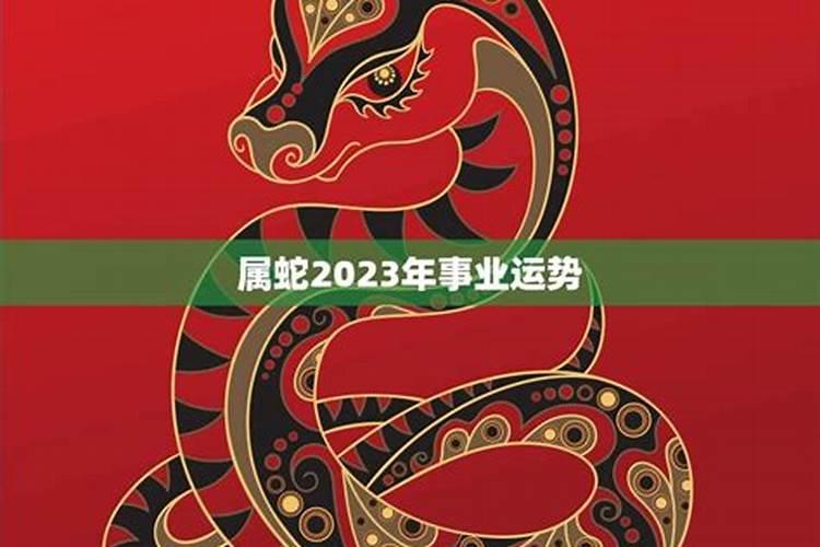 198年属蛇2023年运势如何