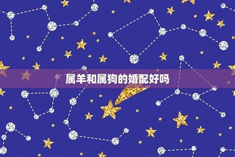 十二星座里金牛座聪明排名第几