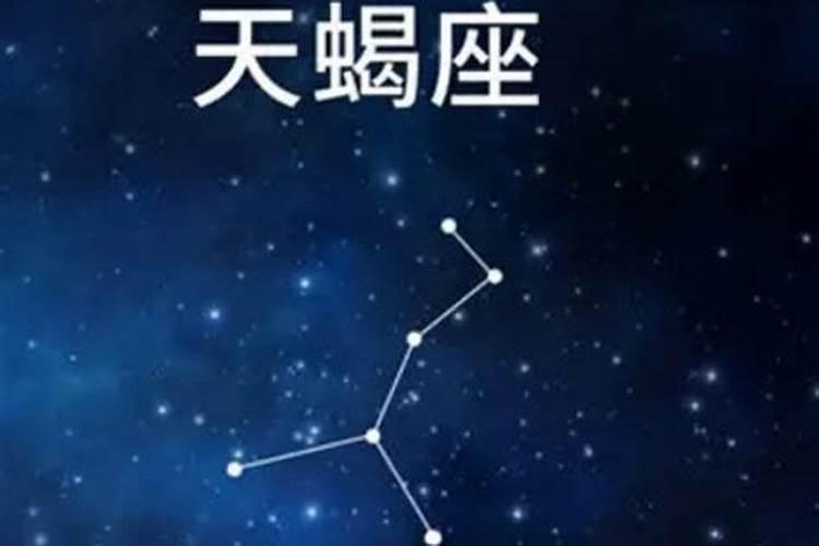 199611月是什么星座