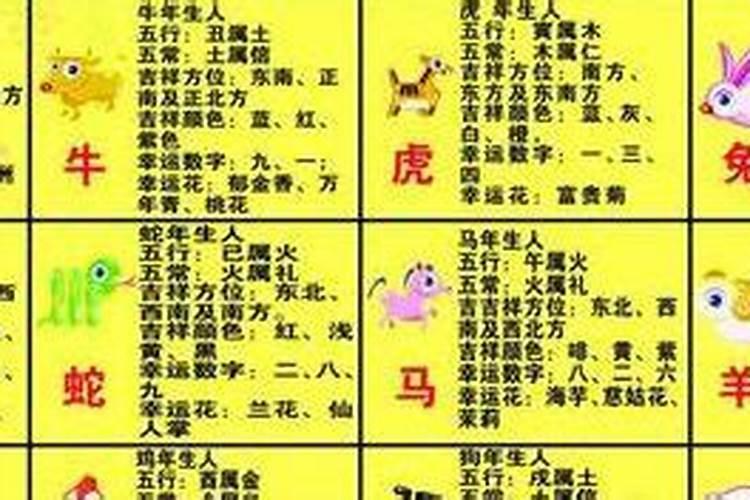 猛字指什么生肖动物和动物