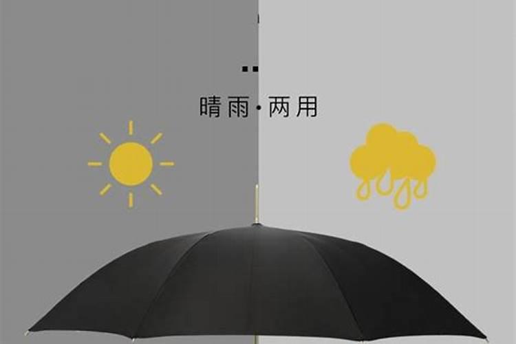 雨过天晴是什么生肖打一肖