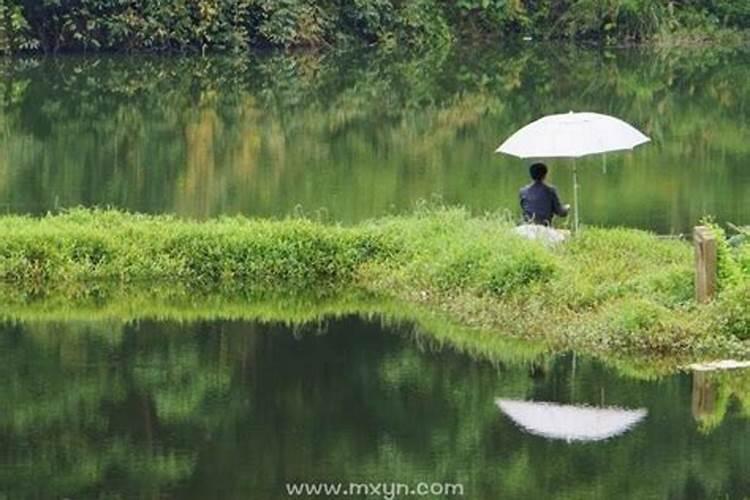 梦见雨后水坑里有一条鱼