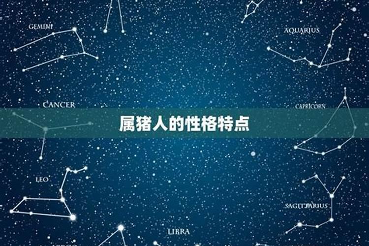 属猪的哪个星座好