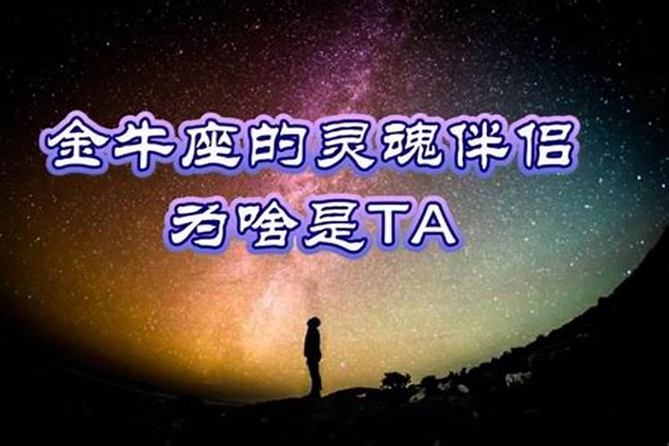 金牛座会被什么感动