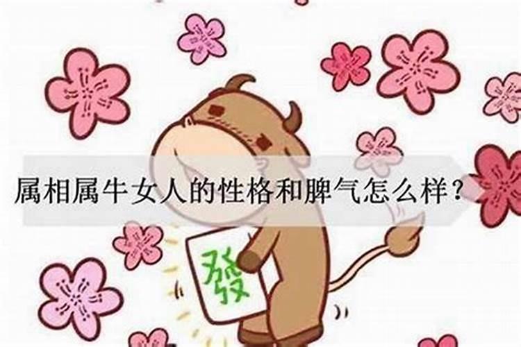 坏男人什么生肖？属兔的女人是不是很花心