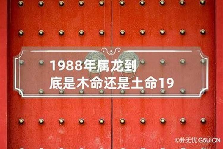 88年龙是什么命五行属什么什么木