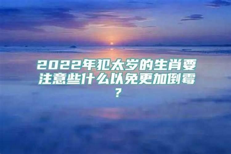 兔和马合不合适婚姻