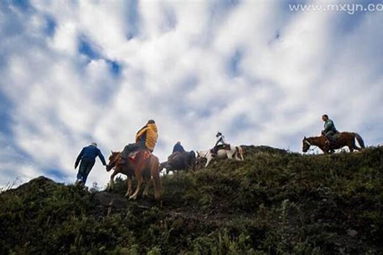 梦见和小孩上山