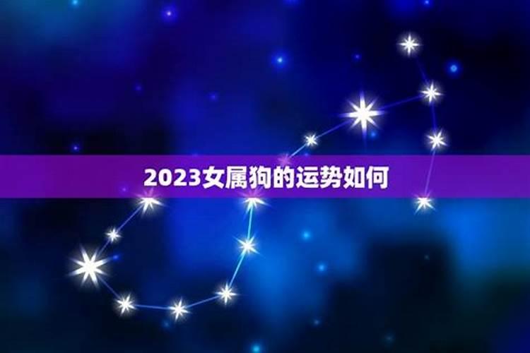 狗的运势2023年运势