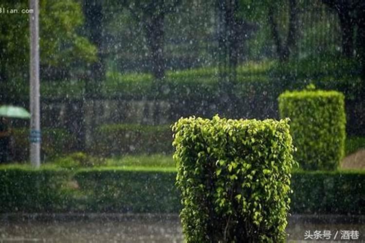 女人梦到下大雨财运如何