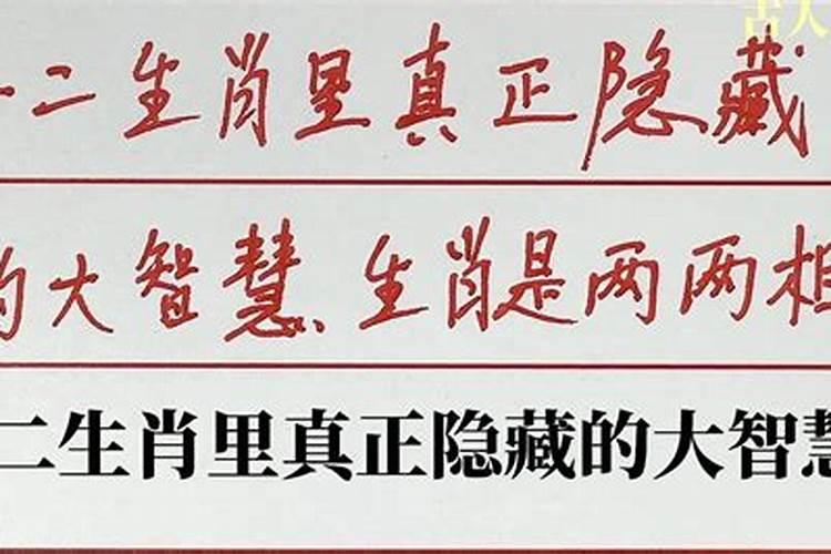 十二生肖什么属相最大