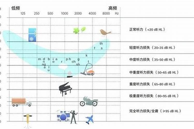 耳朵听不见的生肖