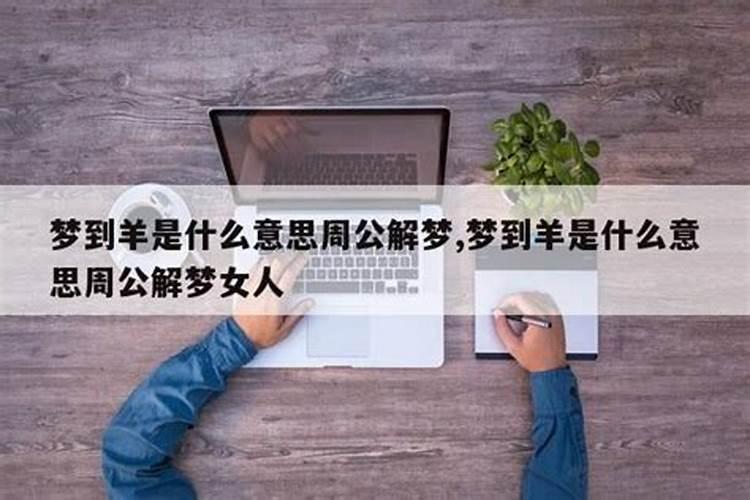 做梦梦见羊是什么意思