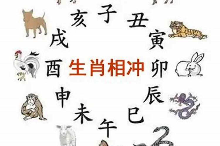 18日生肖属什么生肖